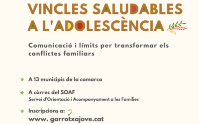 Formació adreçada a famílies sobre vincles saludables, límits i gestió de conflictes durant l’adolescència